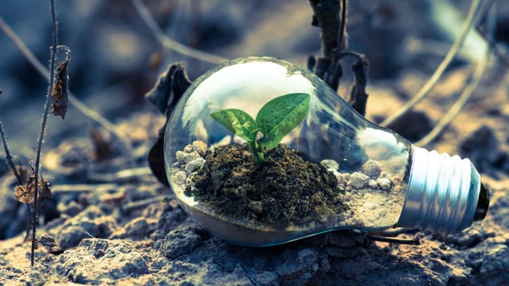Portugal acionou “cartão de crédito ambiental”! O que significa?