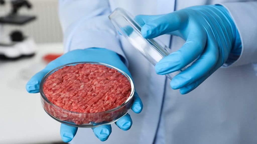 EUA vão albergar a maior instalação de cultivo de carne