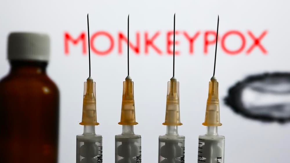 Monkeypox: União Europeia fornecerá 110 mil vacinas contra a varíola dos macacos
