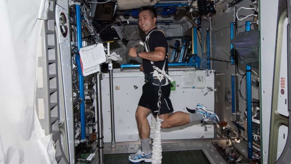 Investigadores desenvolveram um plano para minimizar a atrofia muscular dos astronautas