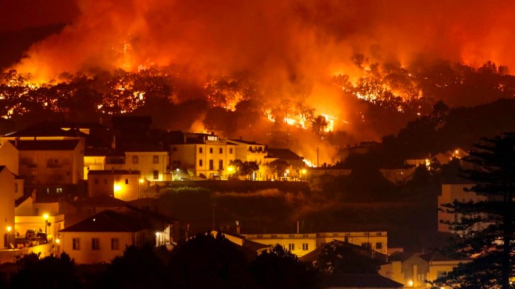 Incêndios: já pode candidatar-se a apoios monetários