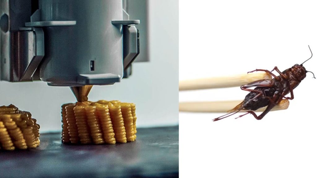 Impressão 3D de insetos misturados com vegetais poderão ajudar a combater a fome