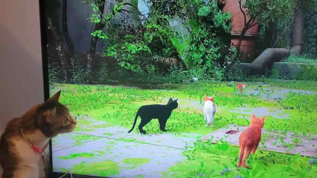 Stray: o jogo para humanos que é um sucesso entre os gatos