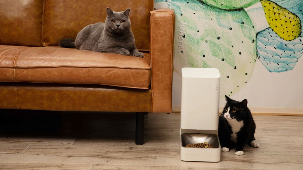 Xiaomi quer que passe a alimentar os seus animais… de forma inteligente