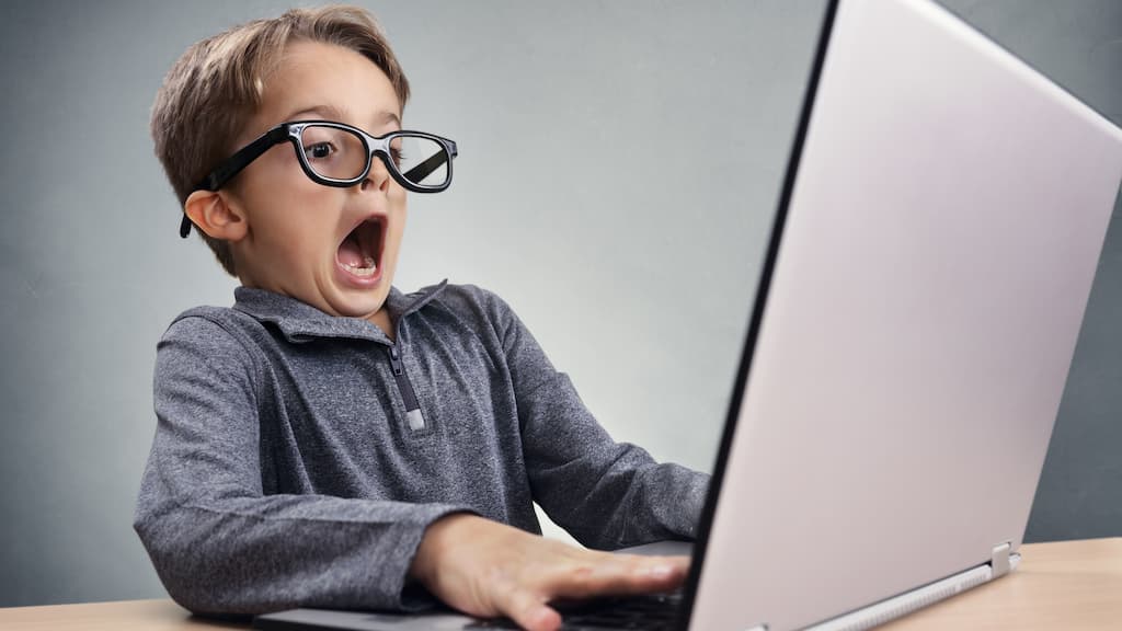 Fibra Ótica: ANACOM quer que MEO dê acesso a 612 freguesias