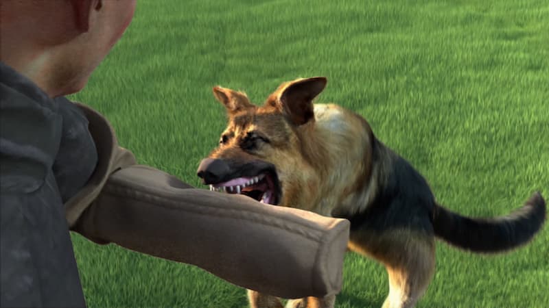 Jogo de treino de animais a caminho com Animal Trainer Simulator