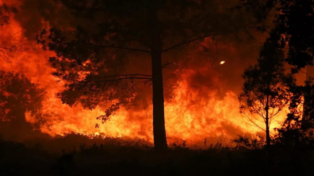 Agravamento de perigo de incêndio em Portugal! A25 cortada