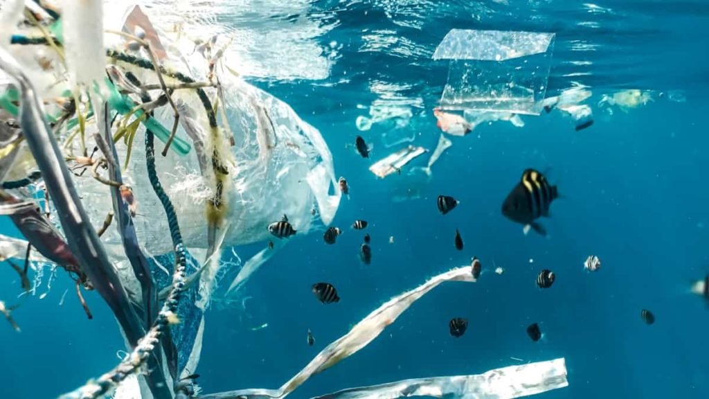 Novo tipo de plástico decompõe-se no oceano mais rapidamente do que o papel