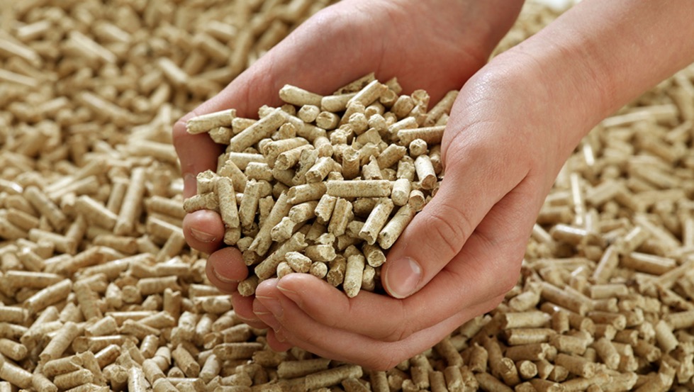 Há uma nova burla! Atenção à compra de Pellets online