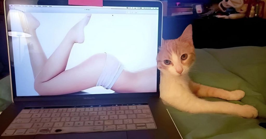 E Porque Hoje é Sexta