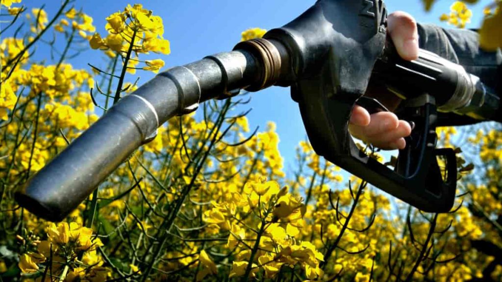 Biocombustíveis: Depois da Alemanha, Itália também quer exceção e pressiona UE