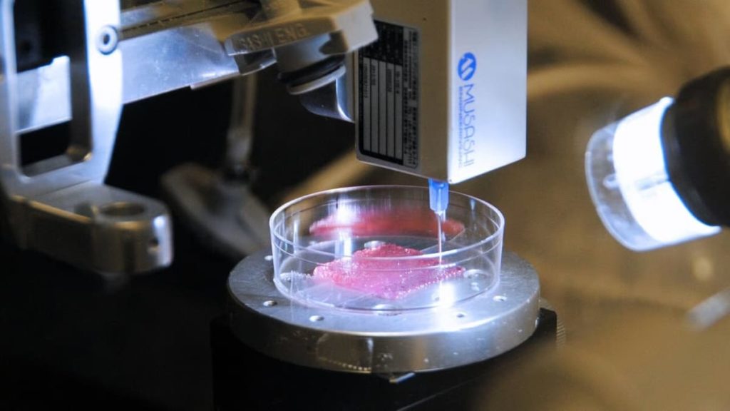 Bioimpressora 3D poderá reparar órgãos dentro do corpo humano