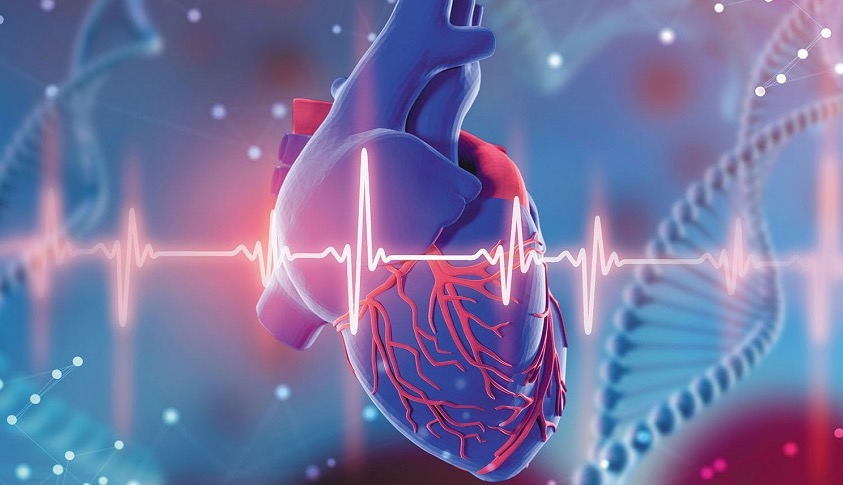 Portugueses vão criar próteses inteligentes para prevenir acidentes cardiovasculares