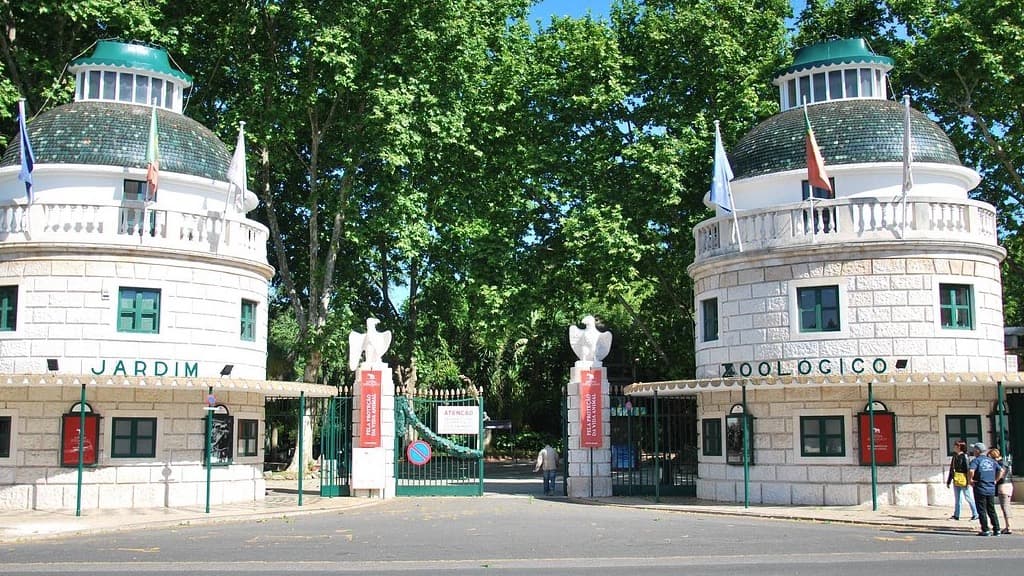 Alerta: Há uma burla em nome do Jardim Zoológico de Lisboa