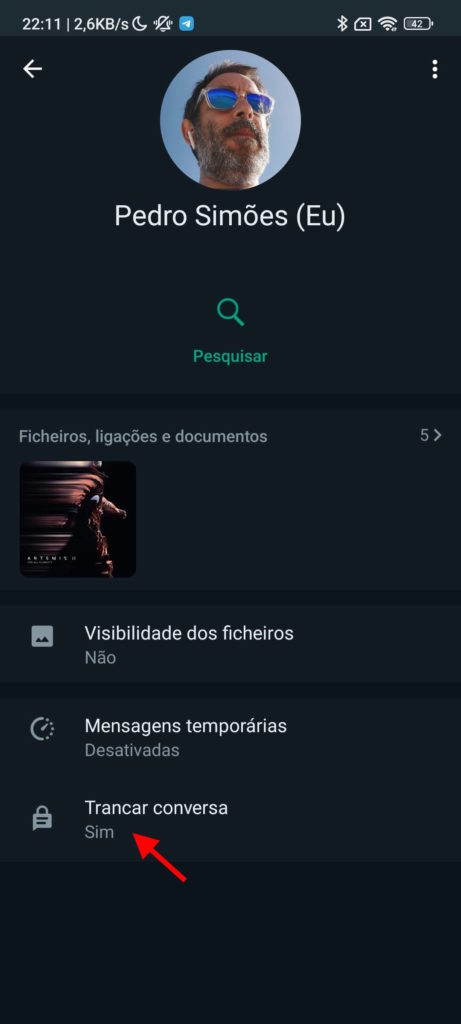 WhatsApp privacidade mensagens conversas novidade