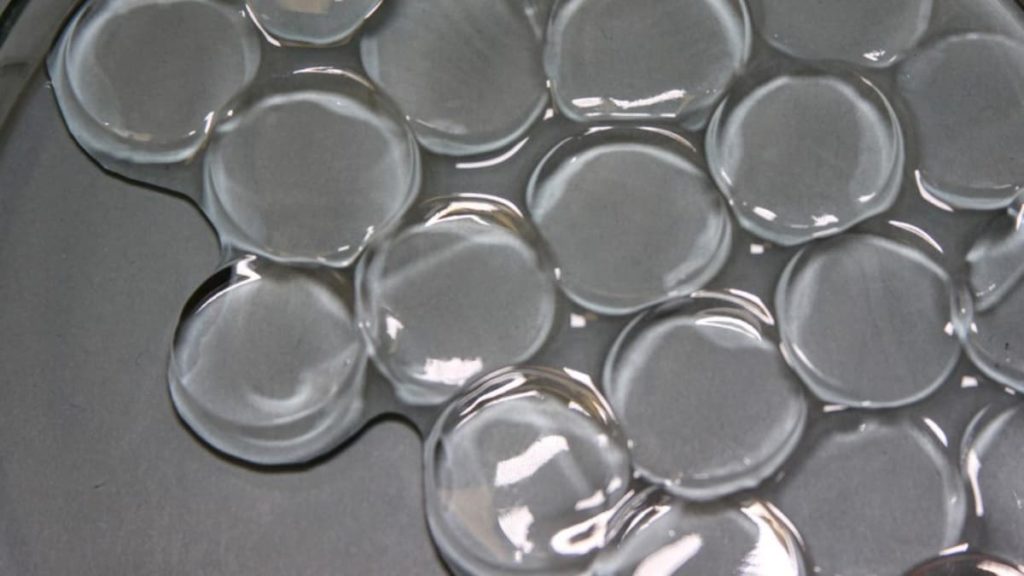 Receita do MIT para combater a seca: tecnologia das fraldas e uma pitada de sal