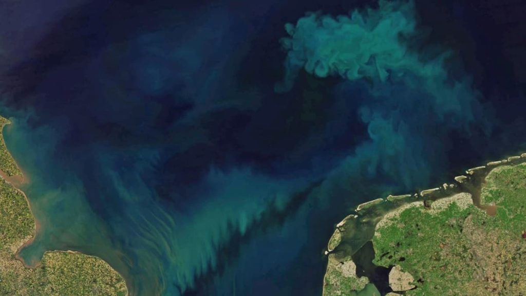 Subtilmente, estamos a poluir os nossos oceanos com este produto…
