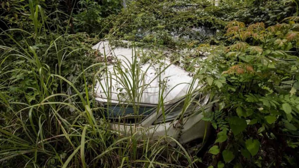 Na China, os cemitérios de carros elétricos não param de crescer…