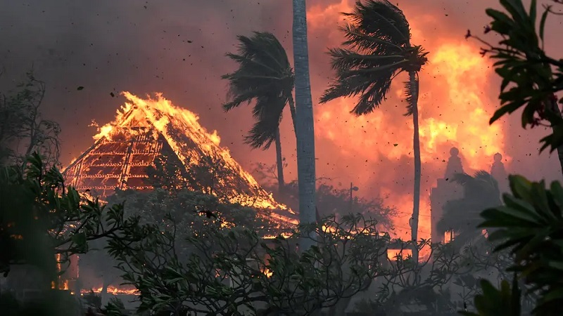 Maior distribuidora de eletricidade do Hawaii está a ser acusada de provocar os incêndios