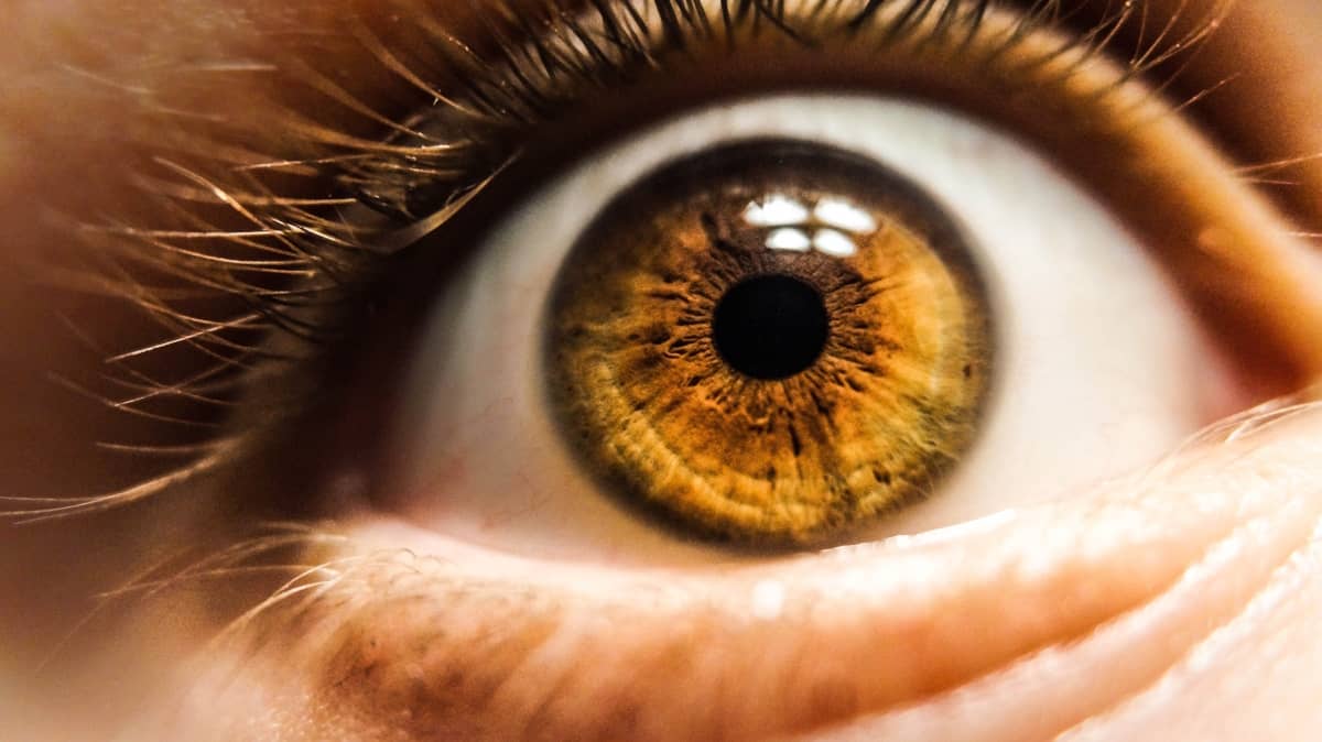 Longas missões espaciais prejudicam os olhos e a visão dos astronautas