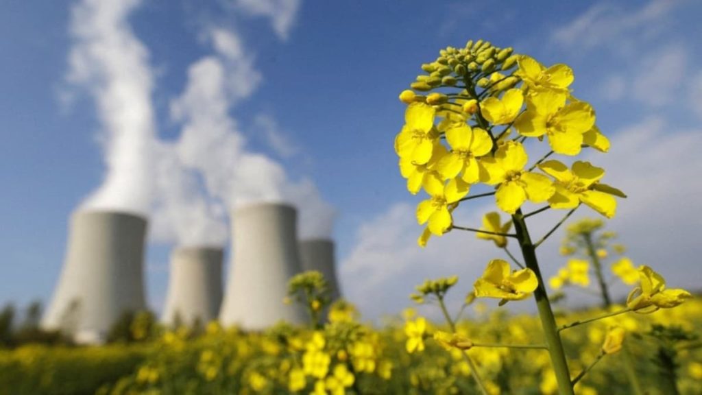 Comissão Europeia está “disposta a considerar” subsídios para a tecnologia nuclear