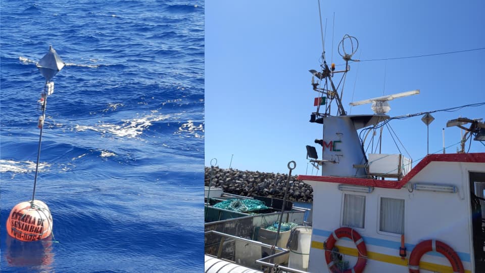 Recorde: Comunicação com Lora chega aos 1336 km (Portugal)