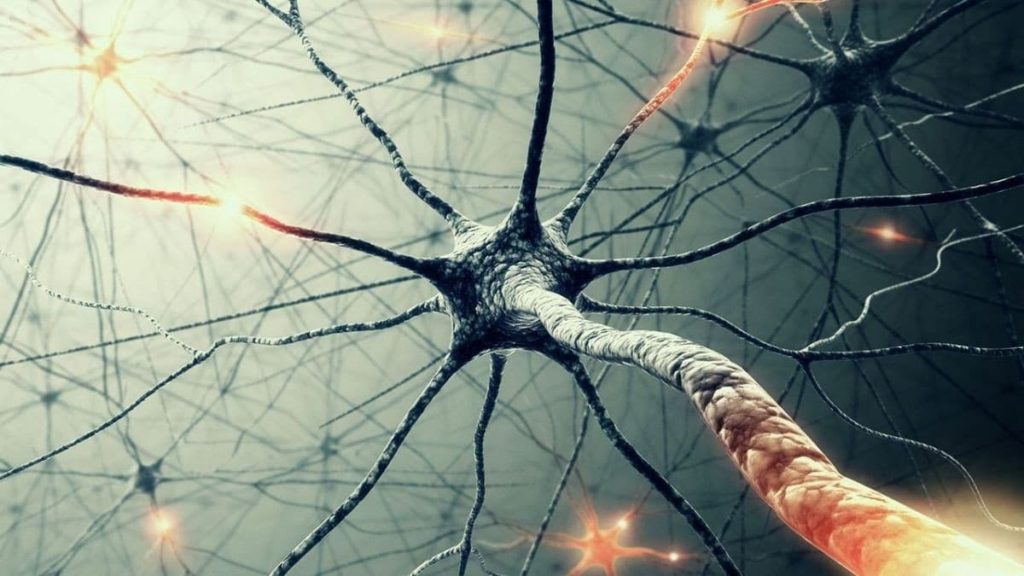 Segundo o MIT, as redes neuronais líquidas levarão a inteligência artificial a outro nível