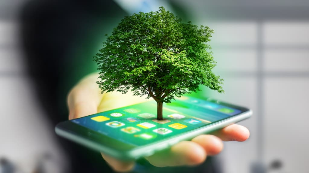 iServices: Garantia de 3 anos em todos os Equipamentos Recondicionados