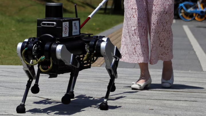 China tem quase 20 milhões de pessoas cegas. E está agora a testar um cão-guia robô!