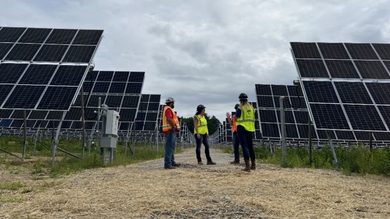 Terrasmart cria tecnologia que promete acabar com o problema do granizo nos painéis solares