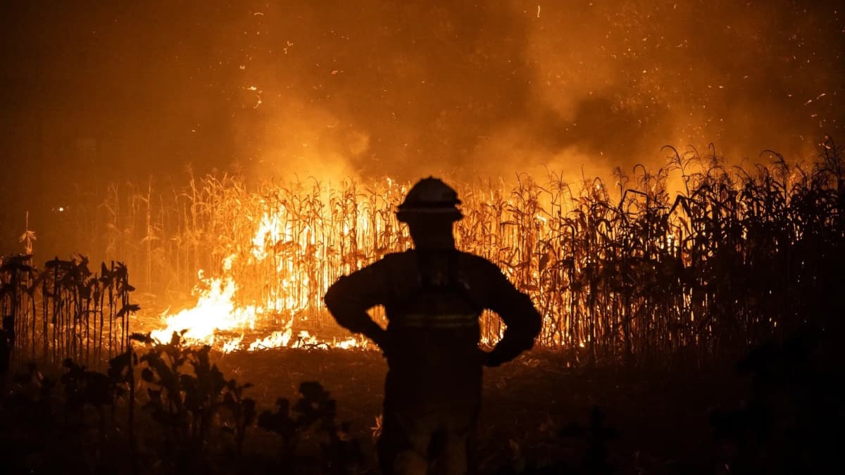 Portugal Chama ajuda a prevenir os incêndios rurais em Portugal