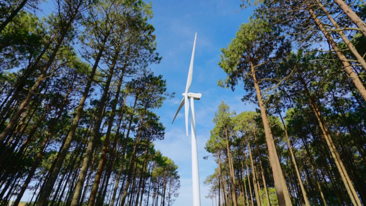 Norte recebe o maior parque eólico de Portugal. Construção avança em 2025