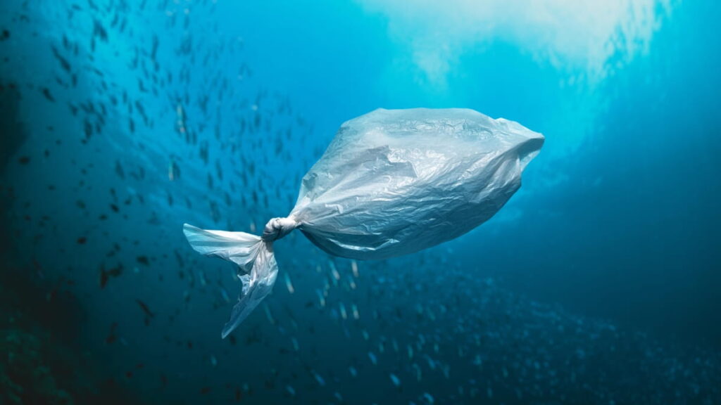 Japão criou um plástico que se dissolve na água do mar e evita a poluição por microplásticos