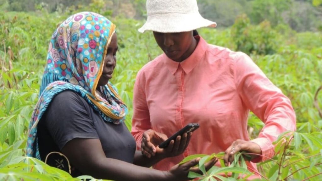 Agricultores do Quénia estão a utilizar os seus smartphones para produzir mais alimentos