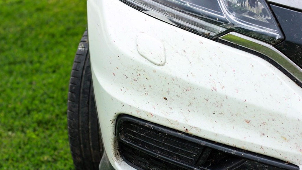 Truque para limpar mais facilmente os mosquitos do carro