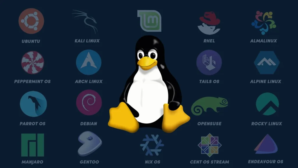 5 distribuições Linux de nicho que merecem mais atenção