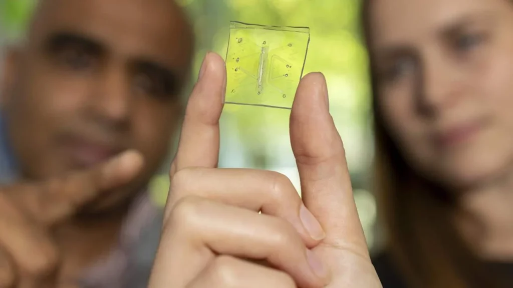 Pulmão-em-chip ganha o seu próprio sistema imunitário