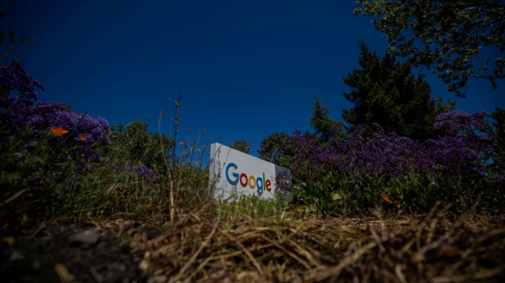 Google vai financiar a reflorestação da Amazónia para créditos de remoção de carbono